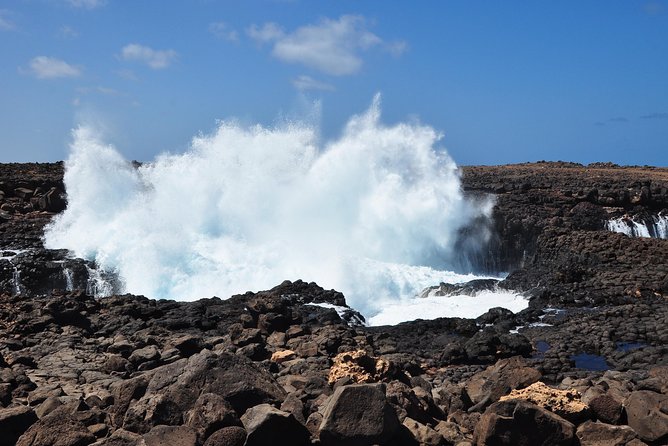 Half-Day Sal Island Tour with Shark Experience from Santa Maria - Ponta Preta and Sal’s changing surf coast