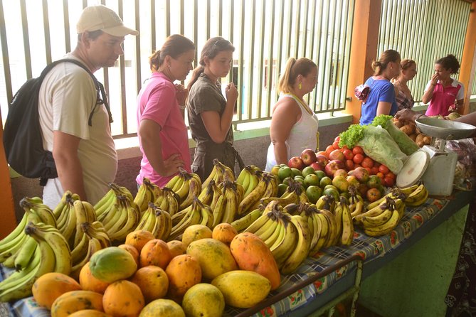 Half-Day Sal Island Tour with Shark Experience from Santa Maria - Pedra de Lume and the old volcanic crater