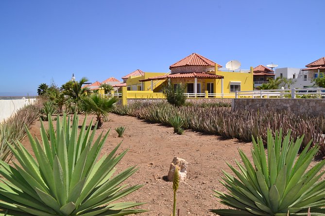 Half-Day Sal Island Tour with Shark Experience from Santa Maria - Murdeira Bay and Monte Leão