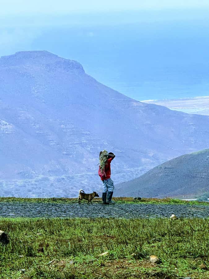 Hike Monte Verde - Key points about the Monte Verde hike