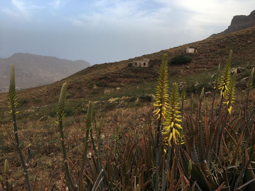 Hike Monte Verde - What the $64 price includes