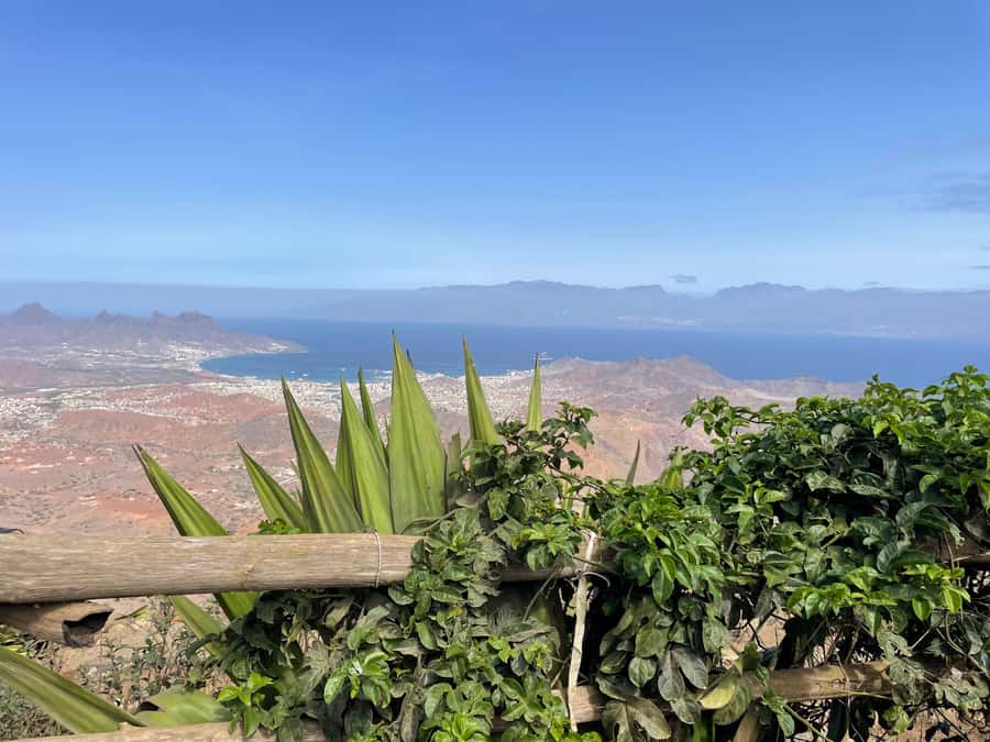 Hike Monte Verde - Farmhouses, plants, and local life on the mountain