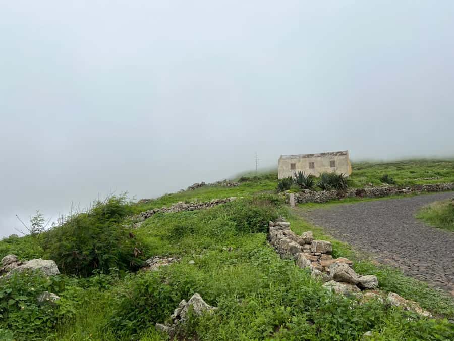 Hike to the highest point of Monte verde - Who should book this Monte Verde walk?