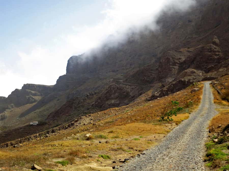 Hike to the highest point of Monte verde - From hotel pickup to the foot of the mountain