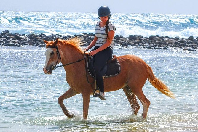 Horse Riding in Sal Island - Cabo Verde - Key points before you saddle up