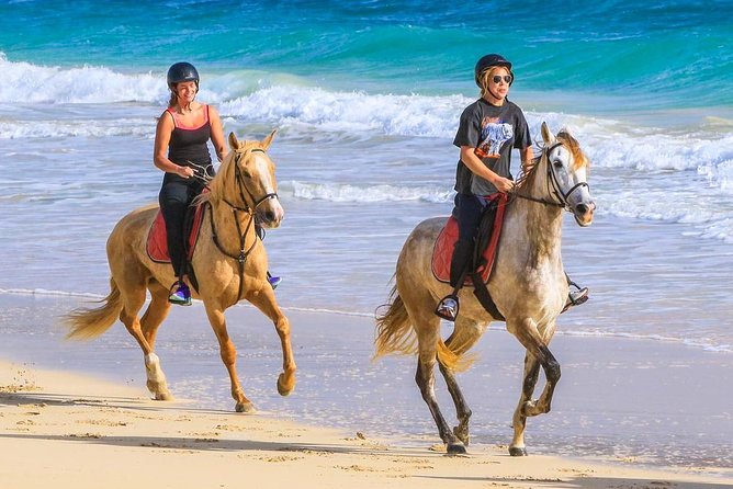 Horse Riding in Sal Island - Cabo Verde - Starting at Viveiro near Santa Maria