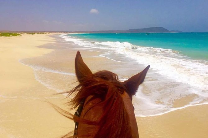 Horse Riding in Sal Island - Cabo Verde - How the horses and guides shape the ride