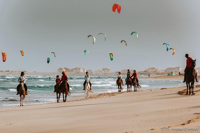 Horse Riding in Sal Island - Cabo Verde - Advice for experienced riders