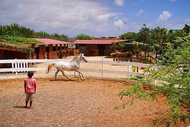 Horse Riding in Sal Island - Cabo Verde - What the $60.25 price gets you