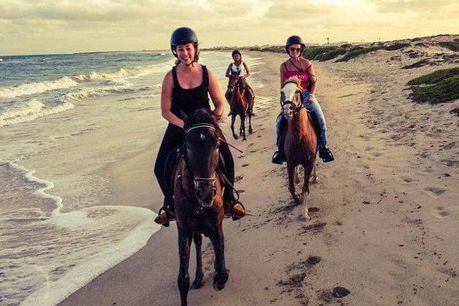 Horse Riding in Sal Island - Cabo Verde - Why the 1.5-hour and two-hour rides are better
