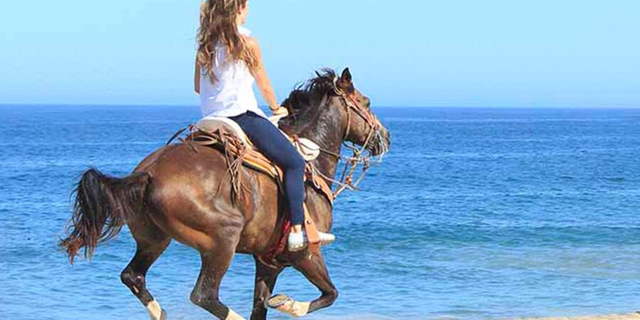 Horseback riding in Boavista for beginners - Key points to know before you book