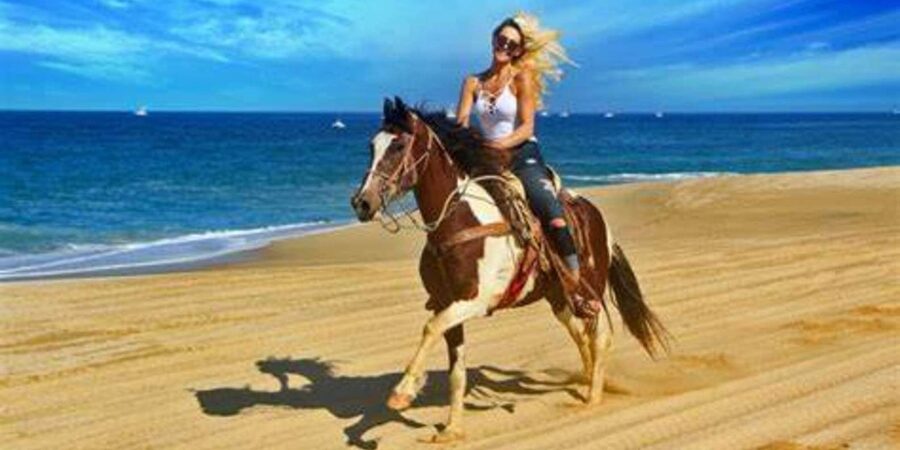 Horseback riding in Boavista for beginners - Why horseback riding suits Boa Vista