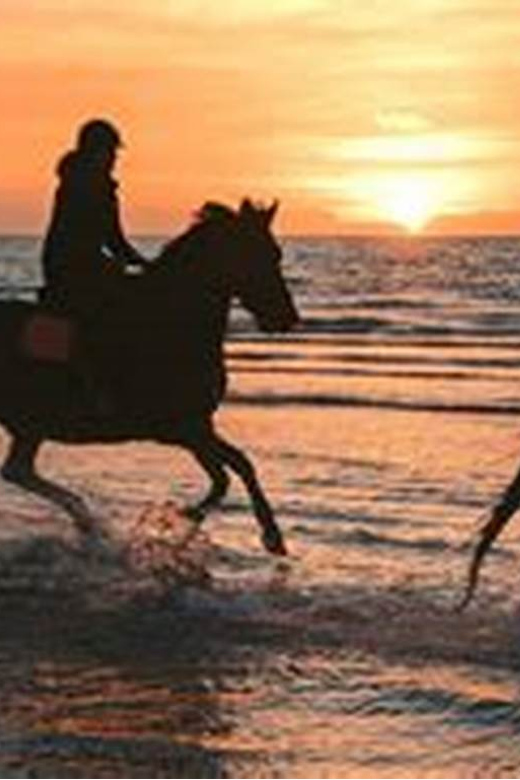 Horseback riding in Boavista for beginners - Riding beside the sea on Boa Vista’s beach