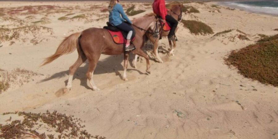 Horseback riding in Boavista for beginners - White dunes and the desert option