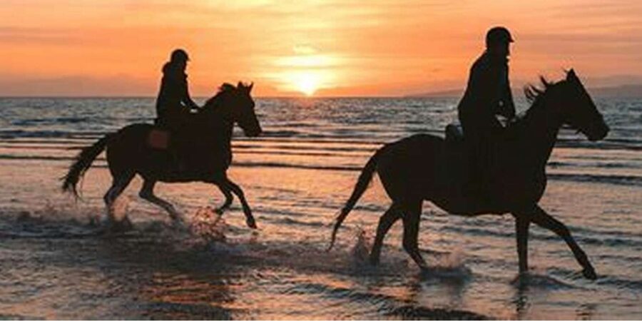 Horseback riding in Boavista for beginners - What the $81 price really gets you