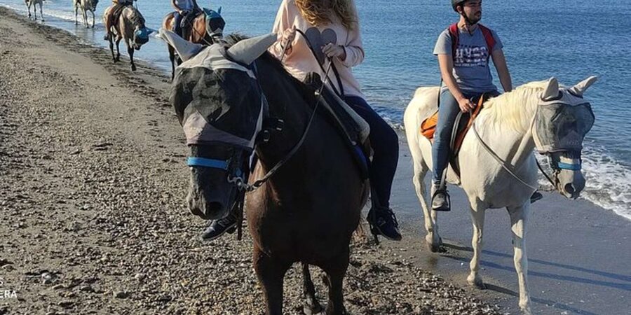 Horseback riding in Boavista for beginners - Meeting at Riu Palace and getting started