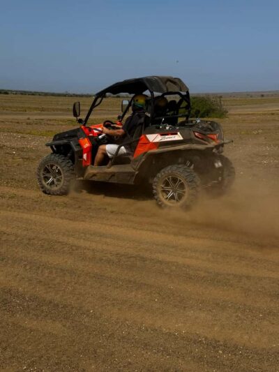Buggy with Local Guide