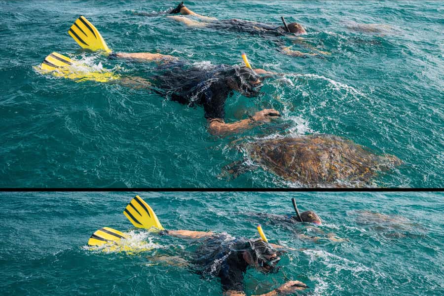Ilha Do Sal: Snorkeling with Local Guide - Booking flexibility and practical details