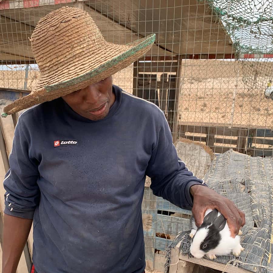 Island tour & cattle & Taste local flavors - Who should book this experience?