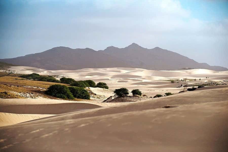 Island tour & cattle & Taste local flavors - Fundo de Figueiras and the island’s volcanic scenery