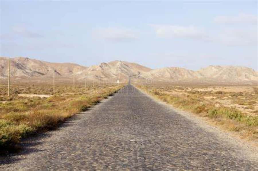 Island tour & cattle & Taste local flavors - The sea museum and Boa Vista’s marine life