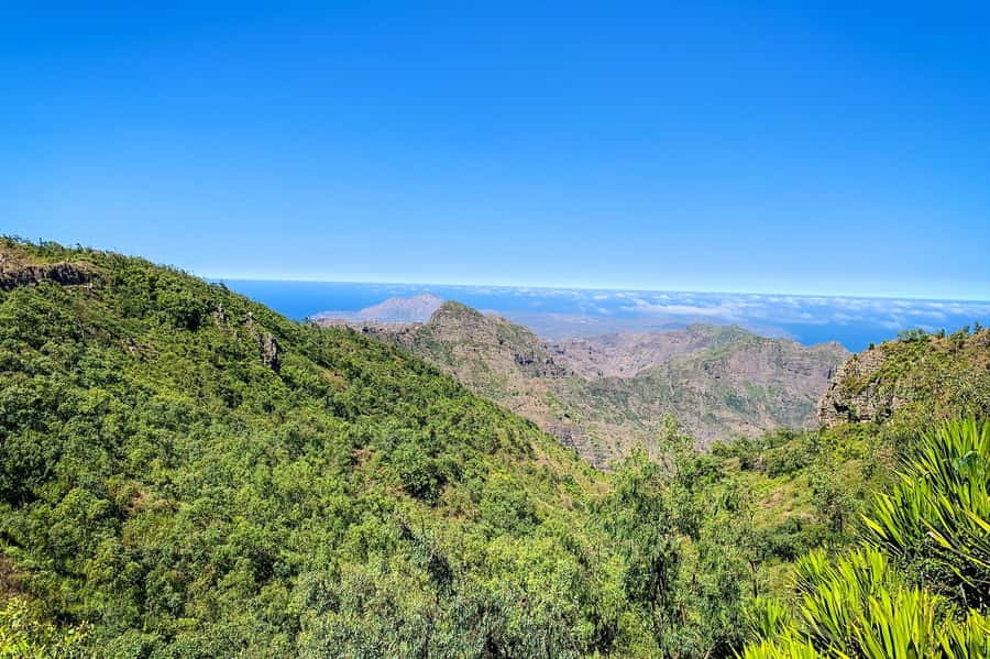 Island tour with German-speaking guide for cruise guests - Picos, a quick look at island life