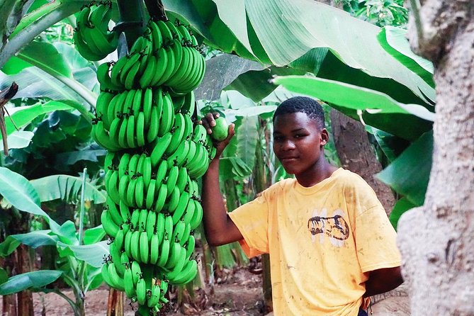 Like Locals: Banana Plantation, and Cuscuz with locals - Why this half-day outing feels different