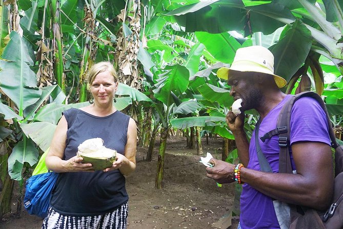 Like Locals: Banana Plantation, and Cuscuz with locals - Rum, sugarcane, and a taste of island tradition