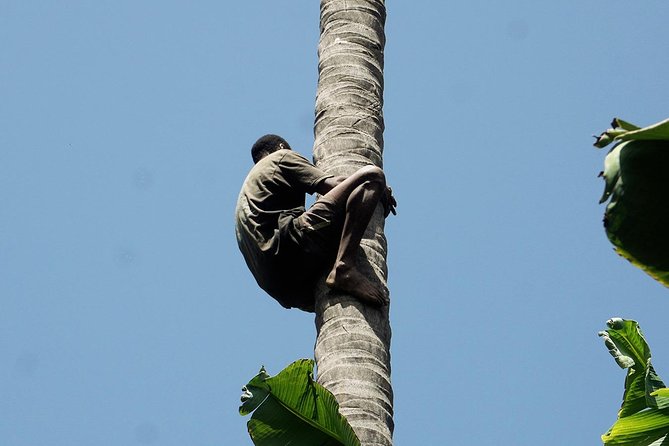 Like Locals: Banana Plantation, and Cuscuz with locals - The return through rocks and valleys