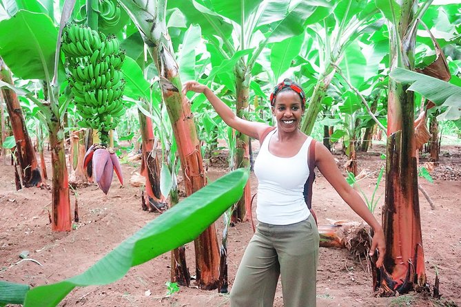 Like Locals: Banana Plantation, and Cuscuz with locals - What $76.57 gets you