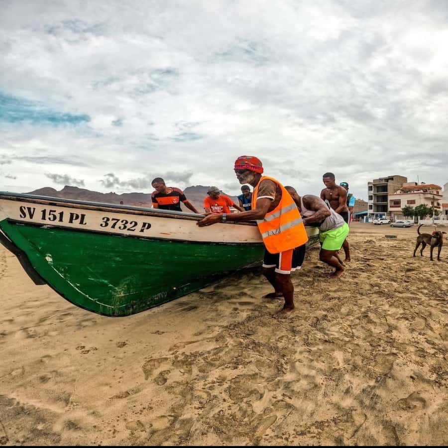 Live Snorkeling & Swimming with Sea Turtles in the Atlantic - Equipment, safety, and what you should bring