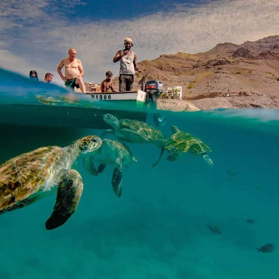 Live Snorkeling & Swimming with Sea Turtles in the Atlantic - Boarding the boat at São Pedro