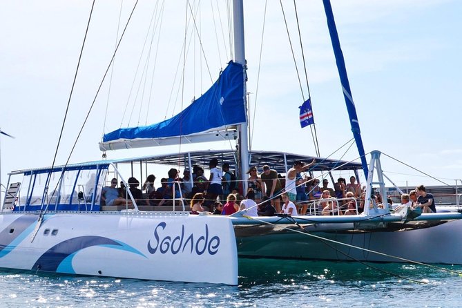 Lounge Catamaran SODADE Half-Day - Key points at a glance