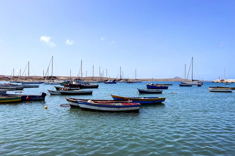 Murdeira: Sal Island Nature Reserve and Fishing Village Tour - Shark Bay and the lemon sharks