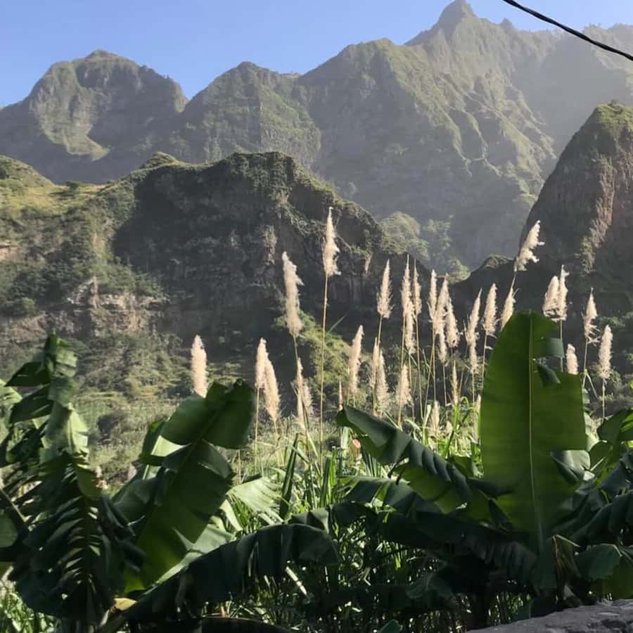 Paúl hike, the green garden - Is $116 good value for this experience?
