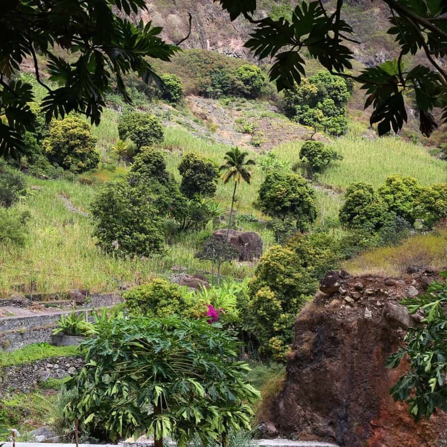 Paúl hike, the green garden - Old straw-and-basalt houses along the way