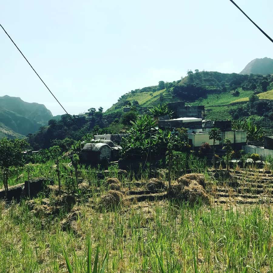 Paúl hike, the green garden - Plants, crops, and the value of a good guide