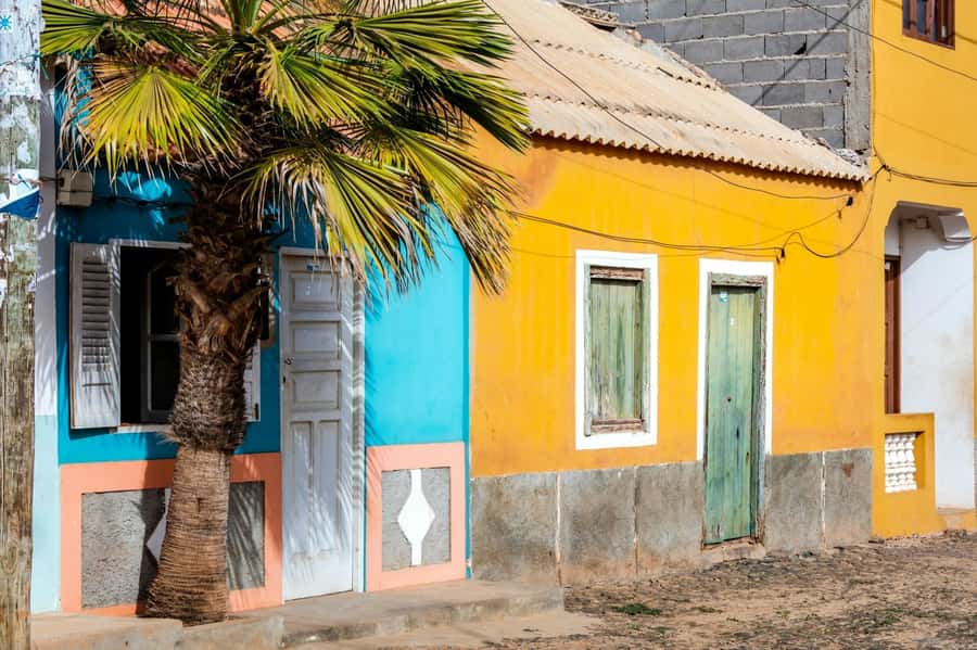 Postcards of Boa Vista 4x4 Tour with Shipwreck & Local Lunch - Key points at a glance