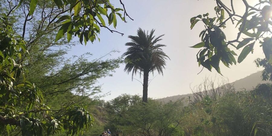 Praia: Baobab Mysterious Tree, Green Valley & Old City Hike - Arriving at Cidade Velha, Santiago’s old capital