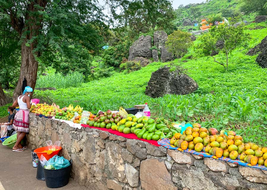 Praia: Santiago Island Tour with Tastings and Tarrafal Beach - Is $76 a fair price?