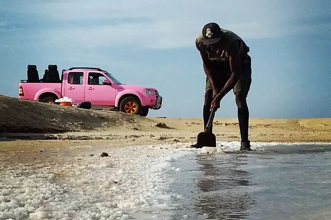 Private Creative Pictures Full Day Island Tour (Off Road inc.) - The best parts of this Sal tour at a glance
