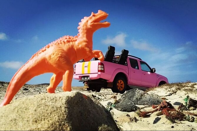 Private Creative Pictures Full Day Island Tour (Off Road inc.) - Terra Boa and Sal’s famous mirage