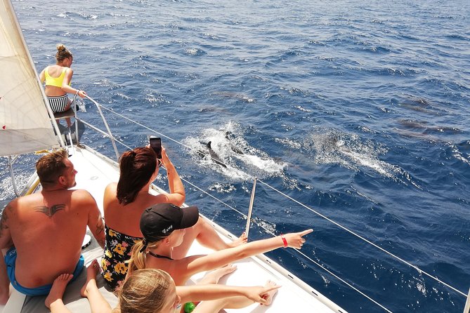 Private full day - Sailing Yacht - Watching for dolphins, whales, turtles, and flying fish
