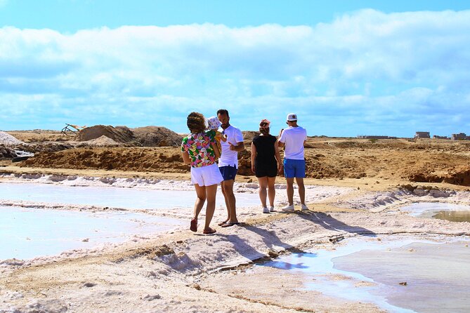 Private Full-Day Tour of Sal Island - Murdeira: coral, fish, and the lion-shaped mountain