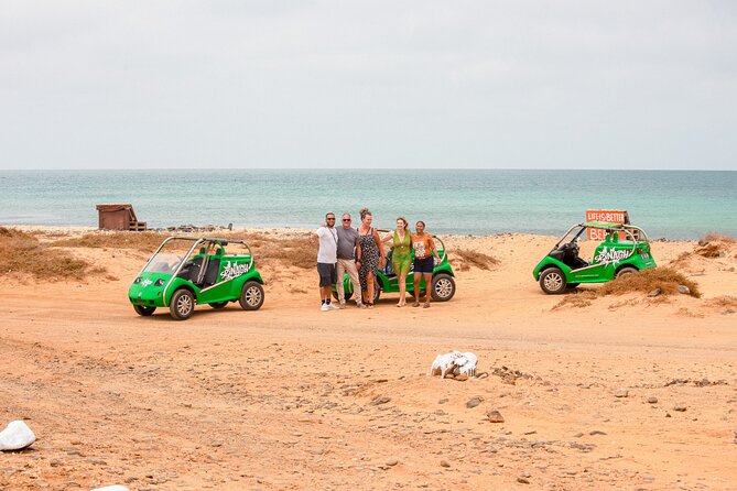 Private Guided Tour of Sal Island | Electric Car with Audio Guide - Key details before you book