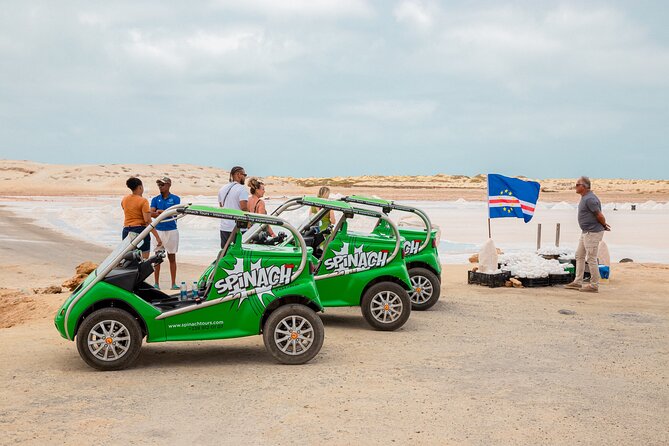 Private Guided Tour of Sal Island | Electric Car with Audio Guide - A clever way to see Sal without a long walk