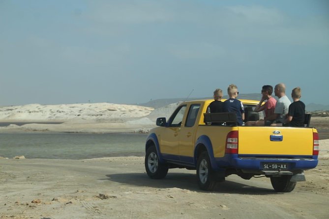 Private Sal Island Tour Authentic Experience from Santa Maria - Shark Bay brings you close to lemon sharks