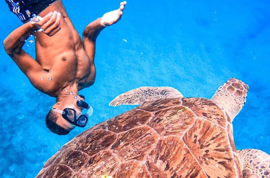Private Snorkel Experience with Sea Turtle for Cruisers - Meeting the guide and getting fitted