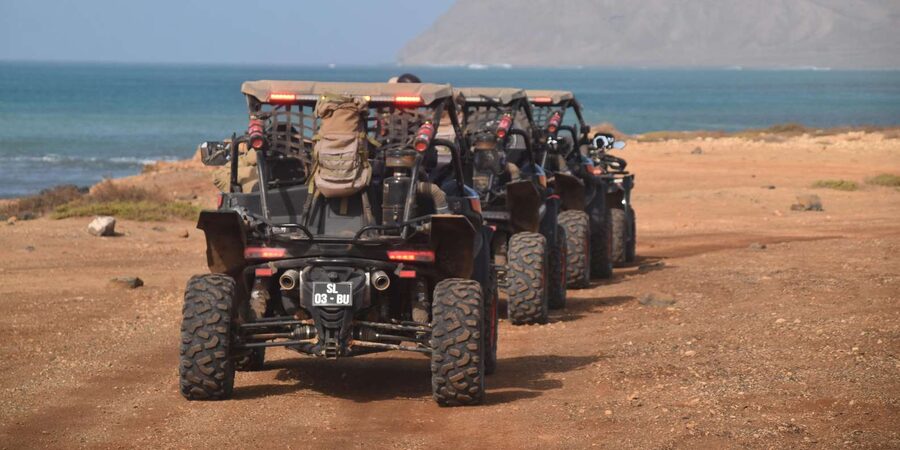 Sal Island: 4-Hour Buggy Island Tour - Shark Bay and the lemon sharks