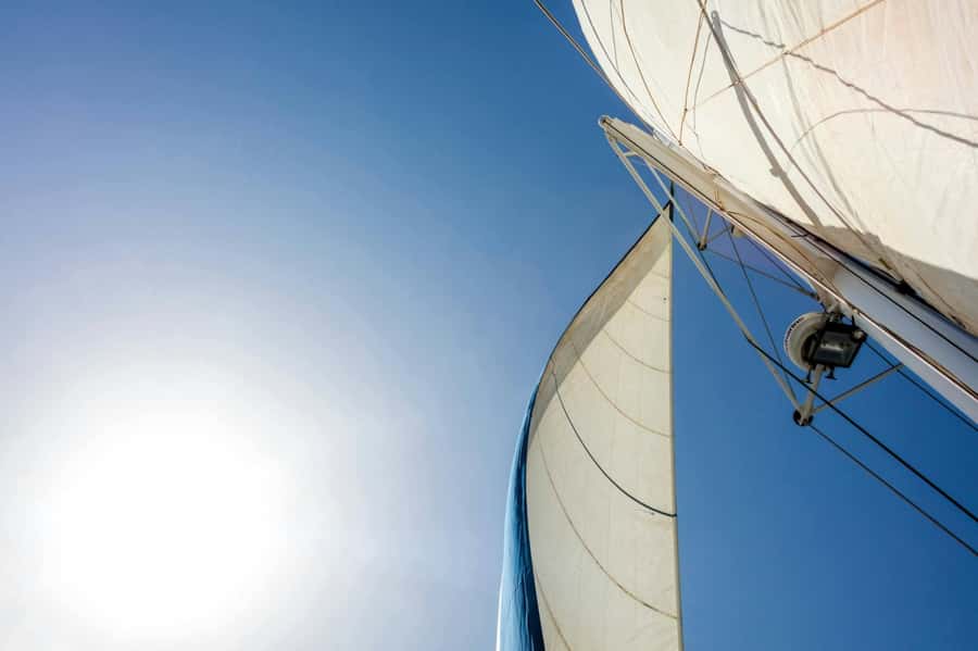 Sal Island Catamaran Cruise with All-inDrinks and Snacks - Wildlife watching near Monte Leão